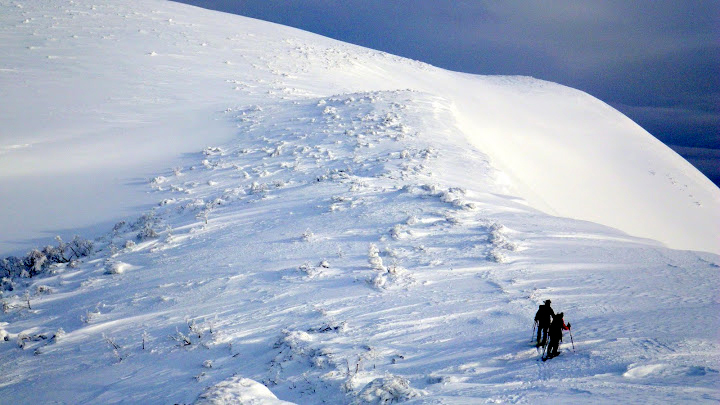 活動の様子（札幌山びこ山友会）