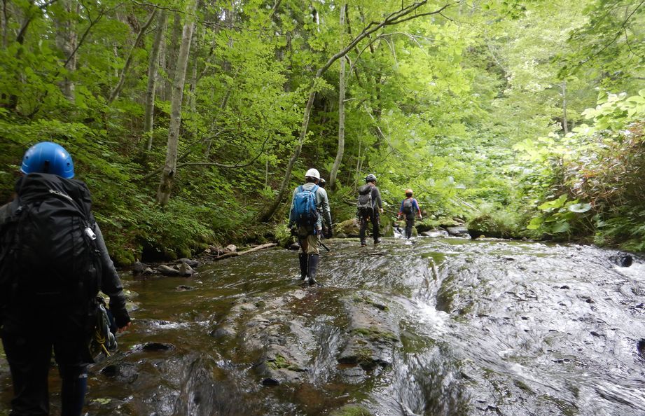 沢登りの様子