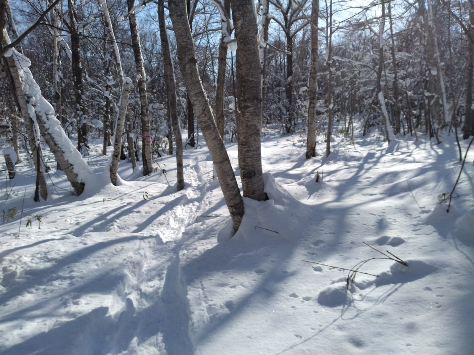 静かな西岡焼山
