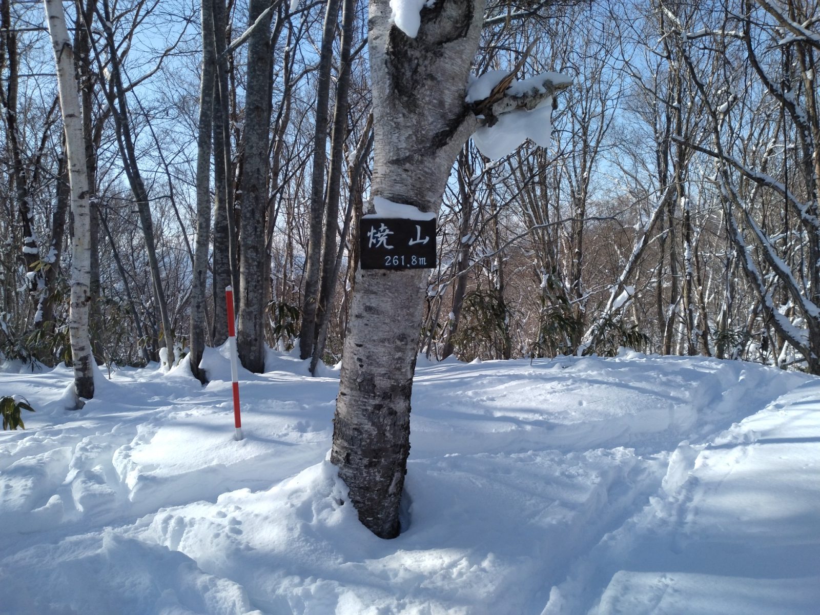 静かな西岡焼山